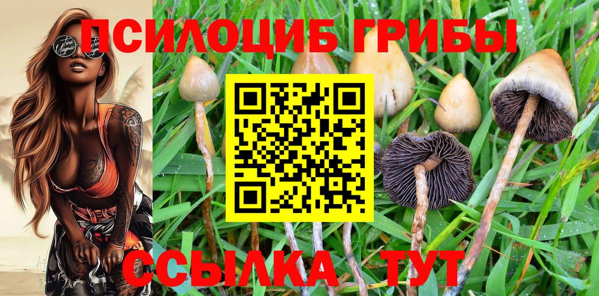 Галлюциногенные грибы мухоморы  Галлюциногенные грибы Magic Shrooms  Вход с VPN  Каспийск 